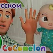 Ку ку CoComelon на русском Детские песенки Мультики для детей