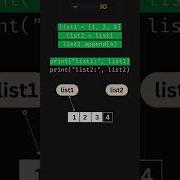 Python List Trick That Confuses Everyone Data Structure Explained Visually Dsa Python Morseio
