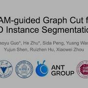 SAM Guided Graph Cut For 3D Instance Segmentation