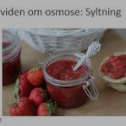 Diffusion Og Osmose
