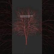 INSTANT Trees In Blender FREE Built In Sapling Addon