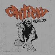 CRITICAL DEMO 22