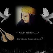Grup Turnalar Turnalar Allı Turnalar