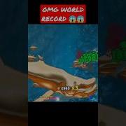 Insane MEGA Rush Hungry Shark Evolution