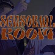 Dark Disco Session Wild Bvffalo B2b Grinderel Vol 1 Cabizbajo Alvee BadWolf Hyper Trvshit