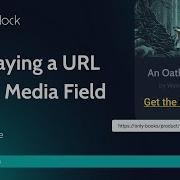 How To Display Link In The Media Field Tips Tricks For WordPress