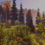 CryEngine Forest Walk Through Part 1 CryEngine 5 4 Forest Environment Realtime Rendering