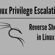 Reverse Shells In Linux
