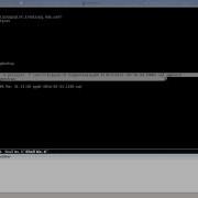 PostgreSQL Backup With Pg Dump