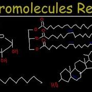 Macromolecules Review
