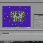 ActionScript 2 0 To ActionScript 3 0