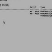 Learning Oracle Application Developer 45