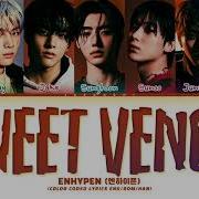 ENHYPEN 엔하이픈 Sweet Venom Lyrics Color Coded Lyrics