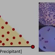 Protein Crystallization Phase Diagram Optimization Automated Method