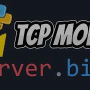 Python Networking Tutorial 4 Build A Simple TCP Server Client Step By Step