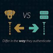 Kerberos Vs LDAP What S The Difference