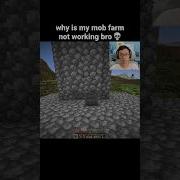 Minecraft Mob Farm Moment