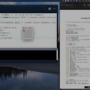 Processing 11 Arrays Random Numbers Sorting