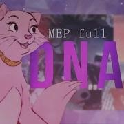 D N A MEP Full