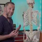Lumbar Puncture Anatomy Adult EM Bootcamp