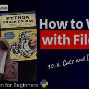 74 Let S Code Python Crash Course Studywithnova