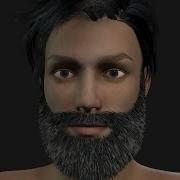 Transfer Daz Studio Beard Models With Morph Files To Iclone TEST