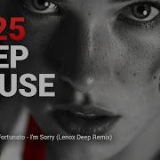 Nando Fortunato I M Sorry Lenox Deep Remix