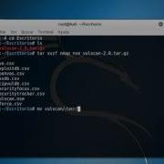 Como Usar Vulscan