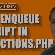 Используйте скрипт WP Enqueue для правильного добавления файлов Javascript в WordPress