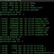 SQL Server 2017 VNext Installation On Linux Ubuntu 16 04 LTS