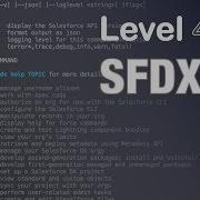 System Dot Debug Level 42 SFDX