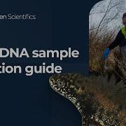 Great Crested Newt EDNA Sample Collection Guide SureScreen Scientifics