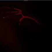 10 Installing Terminator On Linux Best Terminal Emulator For Productivity Linux Terminator
