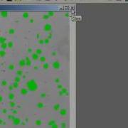 Automate And Record Macros Image Pro Plus Software