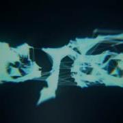 Plexus Intro