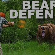 Bear Defense Handguns