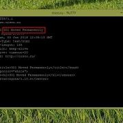 HTTP In Text Mode Computer Networks Course Practice