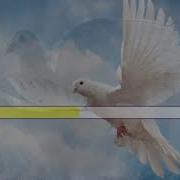 Annus Myratdurdyyew Kepderi Turkmenkaraoki Turkmenminus Halkaydym Minus