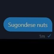 Ladies And Gentlemen We Got Him