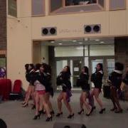 Cornell Alpha Kappa Delta Phi 2013 Asia Night