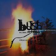 BUSH Swallowed Official Visualizer