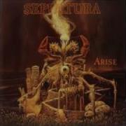 Sepultura Desperate Cry Backing Track Guitar