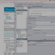 PostgreSQL Netbeans JAVA Localhost Setup