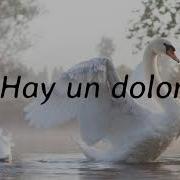DEPECHE MODE HALO SUBTITULADA AL ESPAÑOL