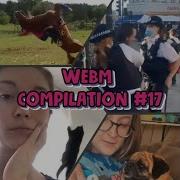 Webm Compilation 17