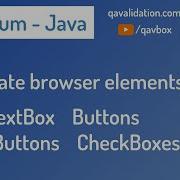 Automate Browser Elements TextBox Buttons RadioButtons CheckBoxes
