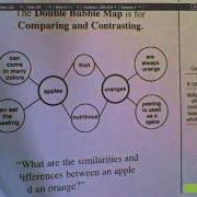 Double Bubble Map Tutorial