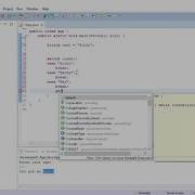 15 Switch Statement