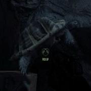 Floating Turtle In Crysis