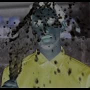 Sitcom Still Life Music Video